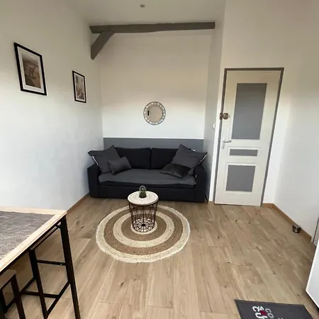 Au Bouquet Troyen - Wifi - Calme Et Tranquillite Апартаменты *