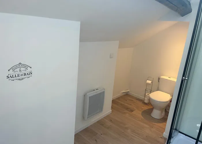 Apartman Au Bouquet Troyen - Wifi - Calme Et Tranquillite Troyes