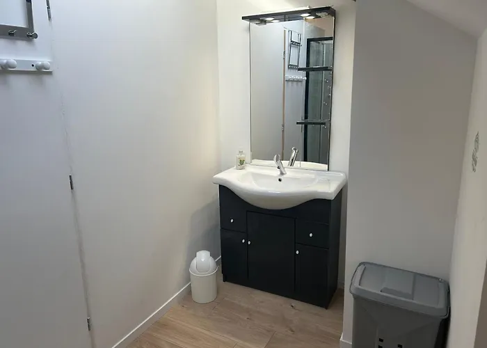 Apartman Au Bouquet Troyen - Wifi - Calme Et Tranquillite Troyes