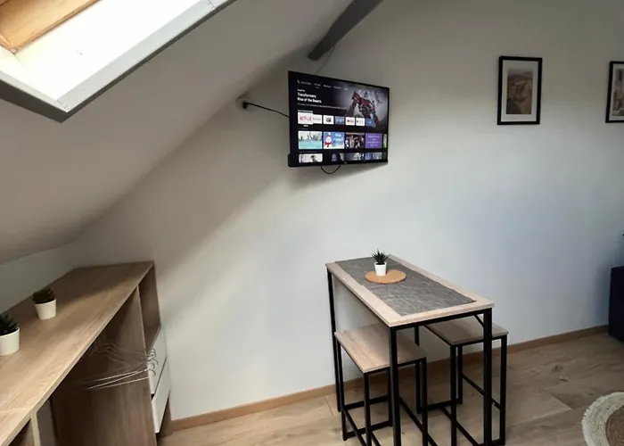 Au Bouquet Troyen - Wifi - Calme Et Tranquillite Troyes