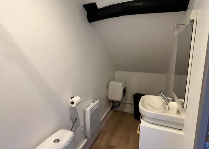 Au Bouquet Troyen - Wifi - Calme Et Tranquillite Troyes