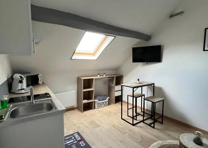 Apartman Au Bouquet Troyen - Wifi - Calme Et Tranquillite Troyes